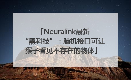 Neuralink最新“黑科技”：脑机接口可让猴子看见不存在的物体
